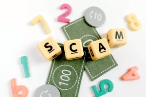 Online Store: Scam or a Real One?