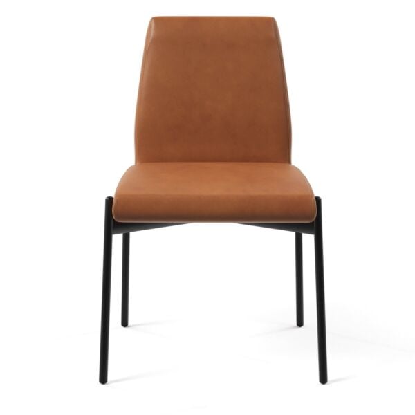 Charcoal Gray Fabric - Black Powder Coated Steel