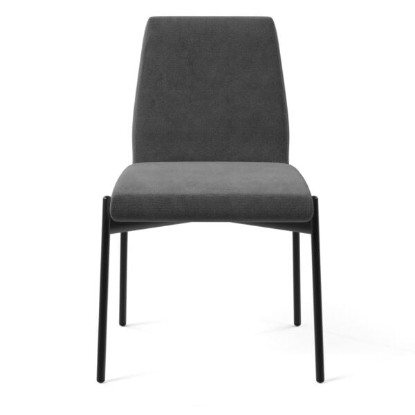 Charcoal Gray Fabric - Black Powder Coated Steel